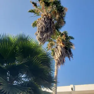 Bed & Breakfast Sea Shell Palms,